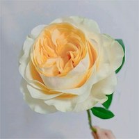 Cream Cup