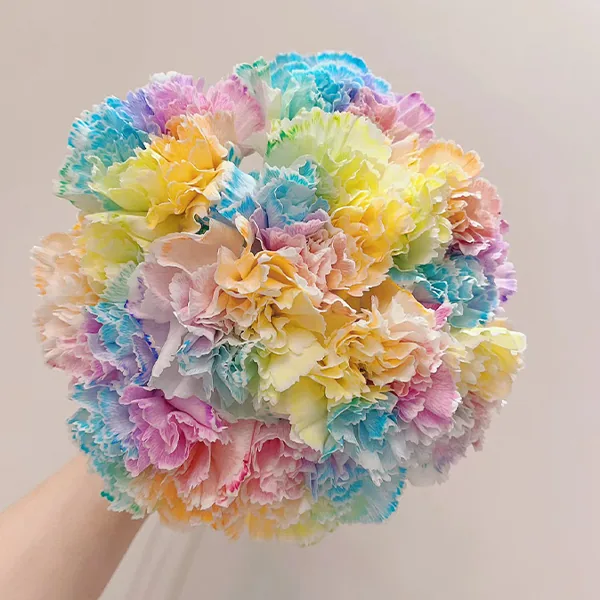 Macarons carnation
