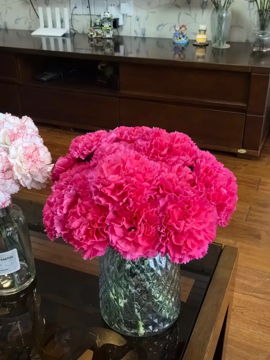 Peach pink Carnation