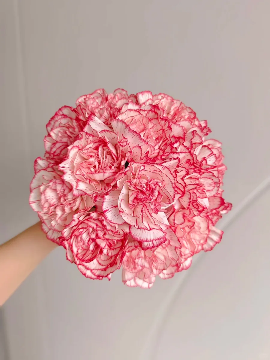 Beloved person carnation