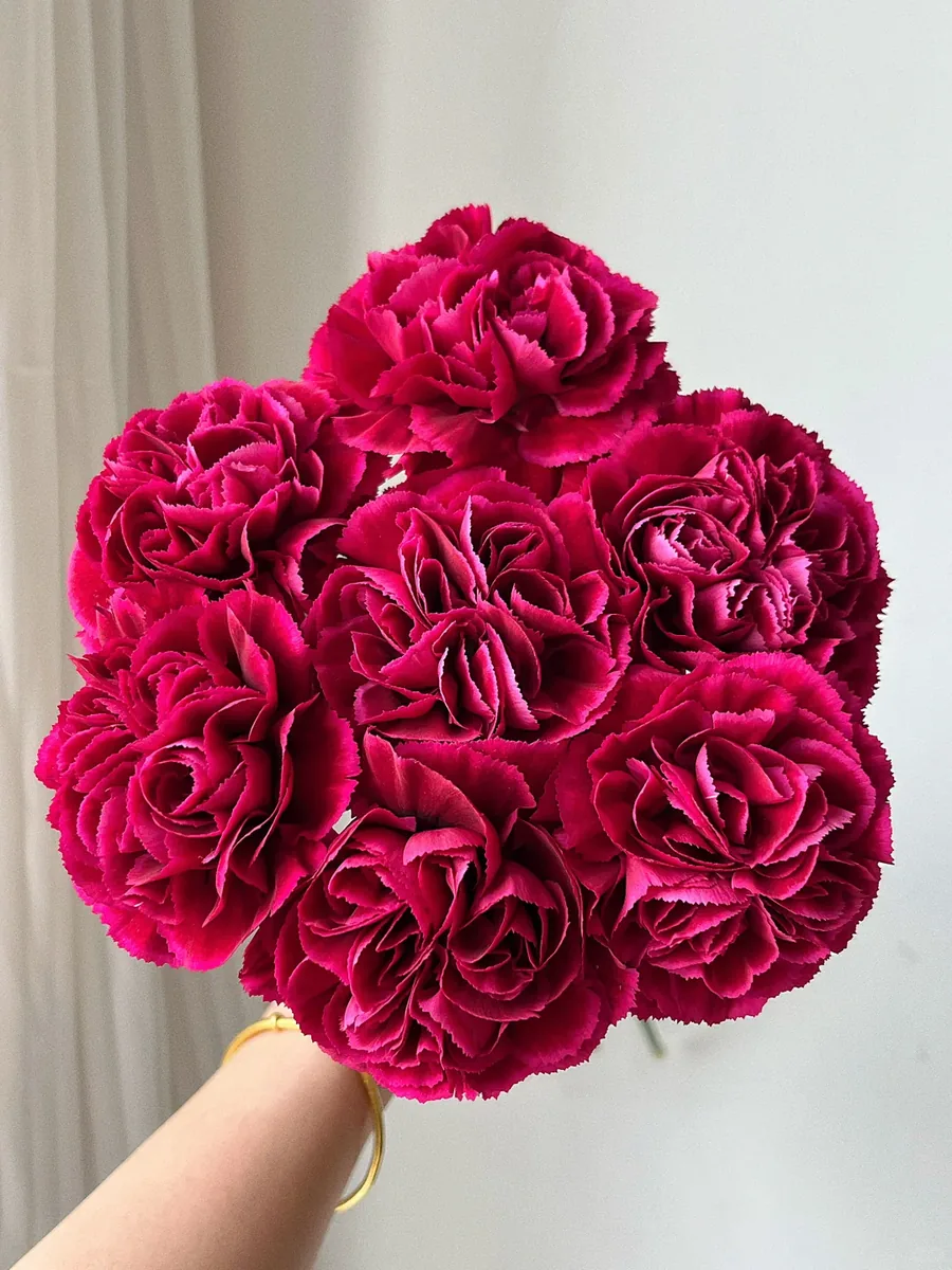 Red silk carnation