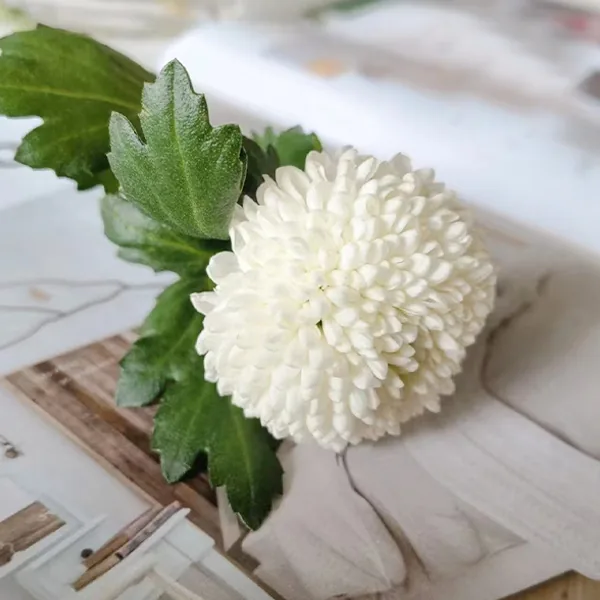 White pampas flower