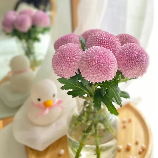 Pink pampas flower