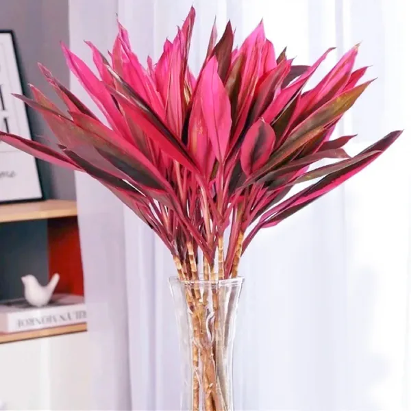 Red Rubber Plant