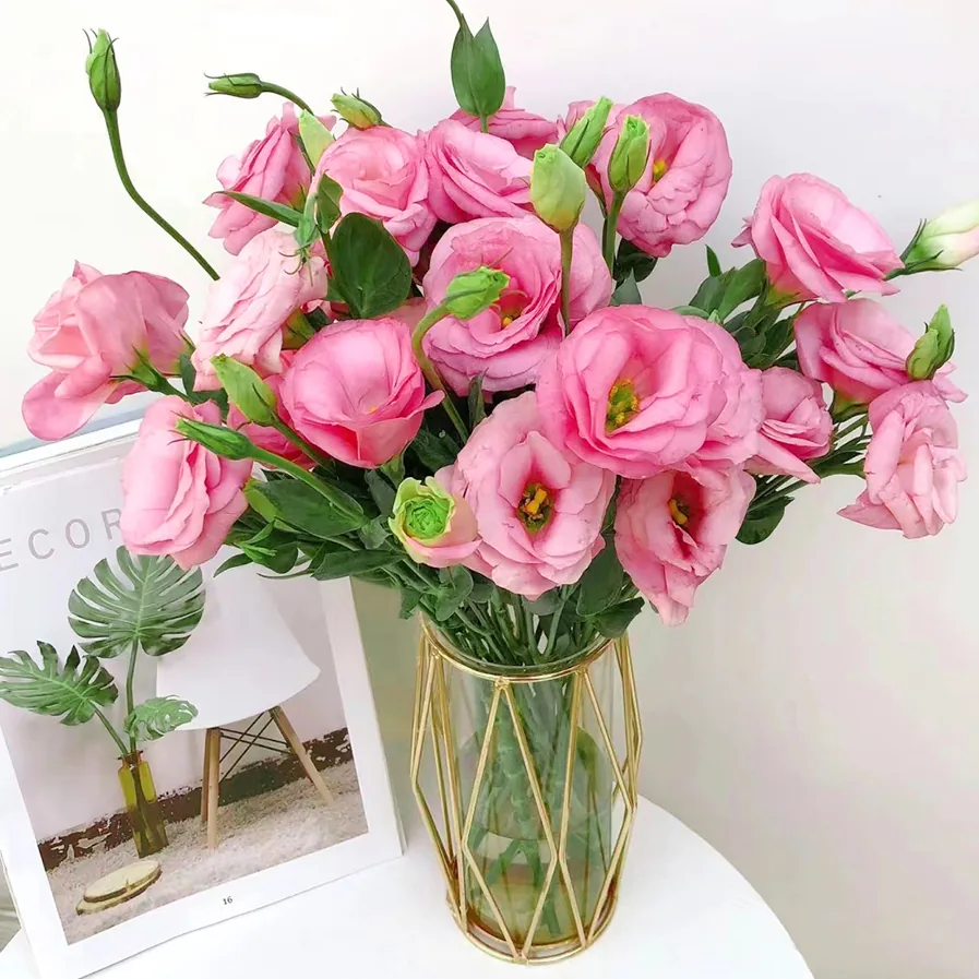 Pink Lisianthus