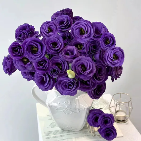 Deep purple.Lisianthus