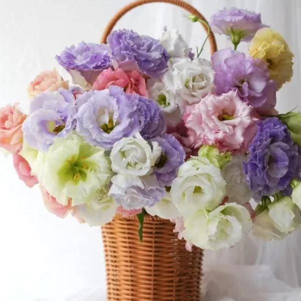 Mixing colors Lisianthus