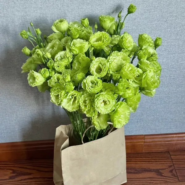 Emerald green Lisianthus