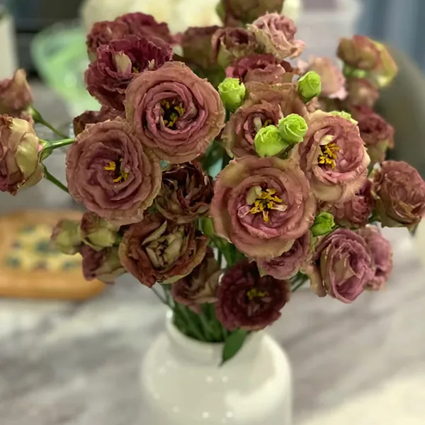 Tea Lisianthus