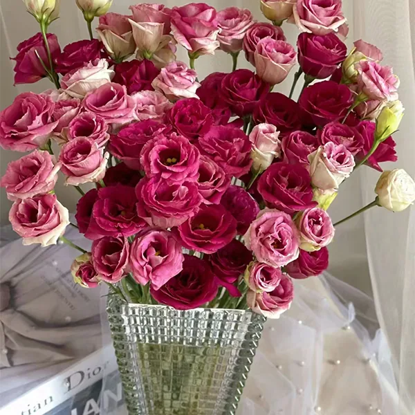 Burgundy red Lisianthus