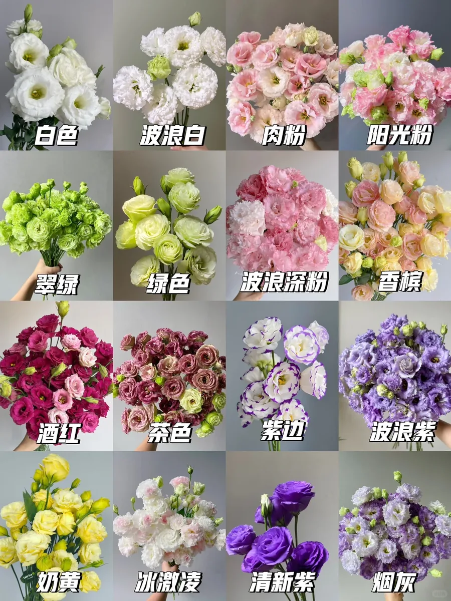 Mix Eustoma