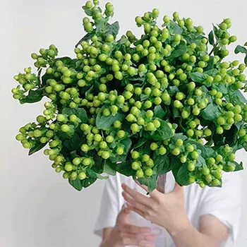 Mung bean