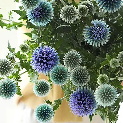 Blue Planet