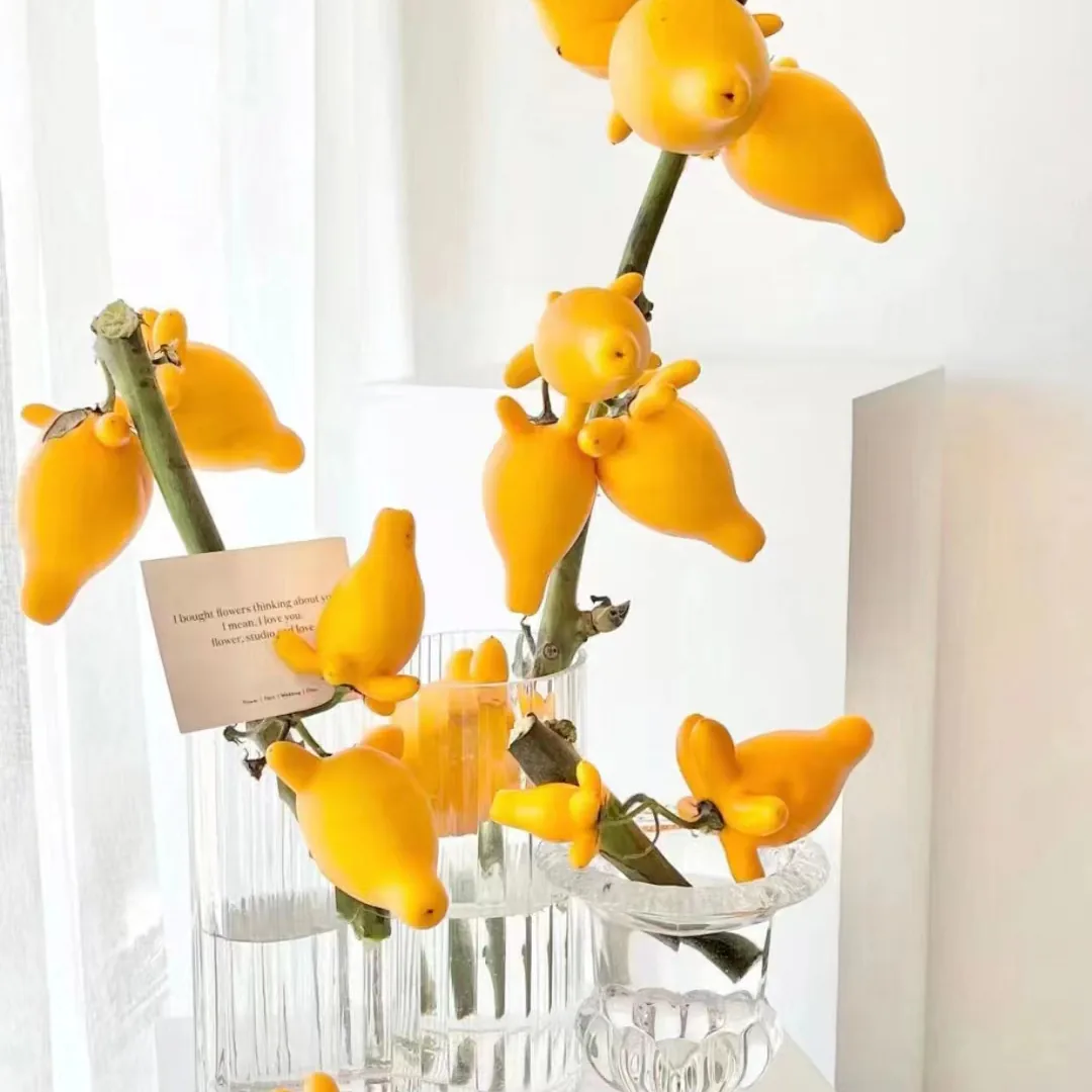 Five-generation fruit