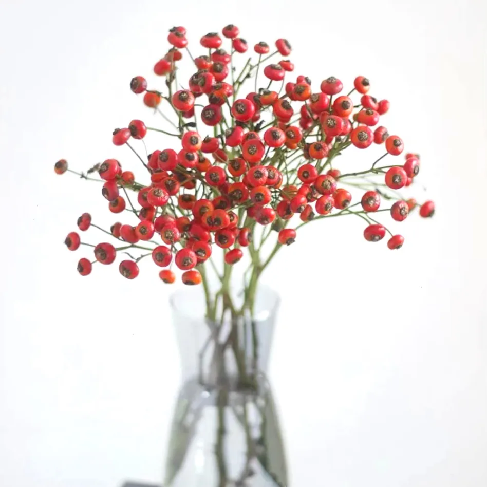 Rose fruit