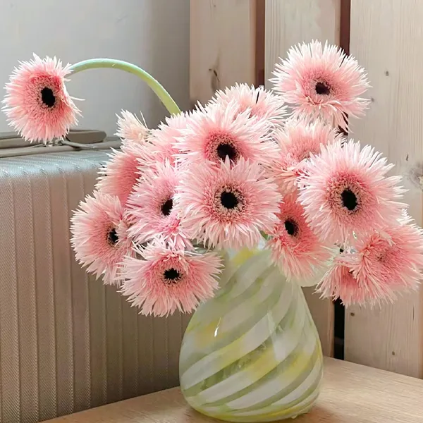 Pink lace African daisy
