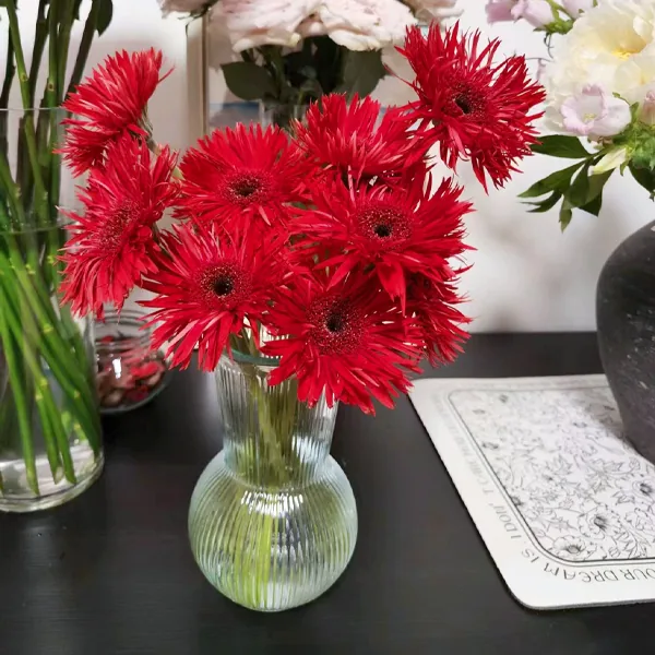 Red braided African daisy