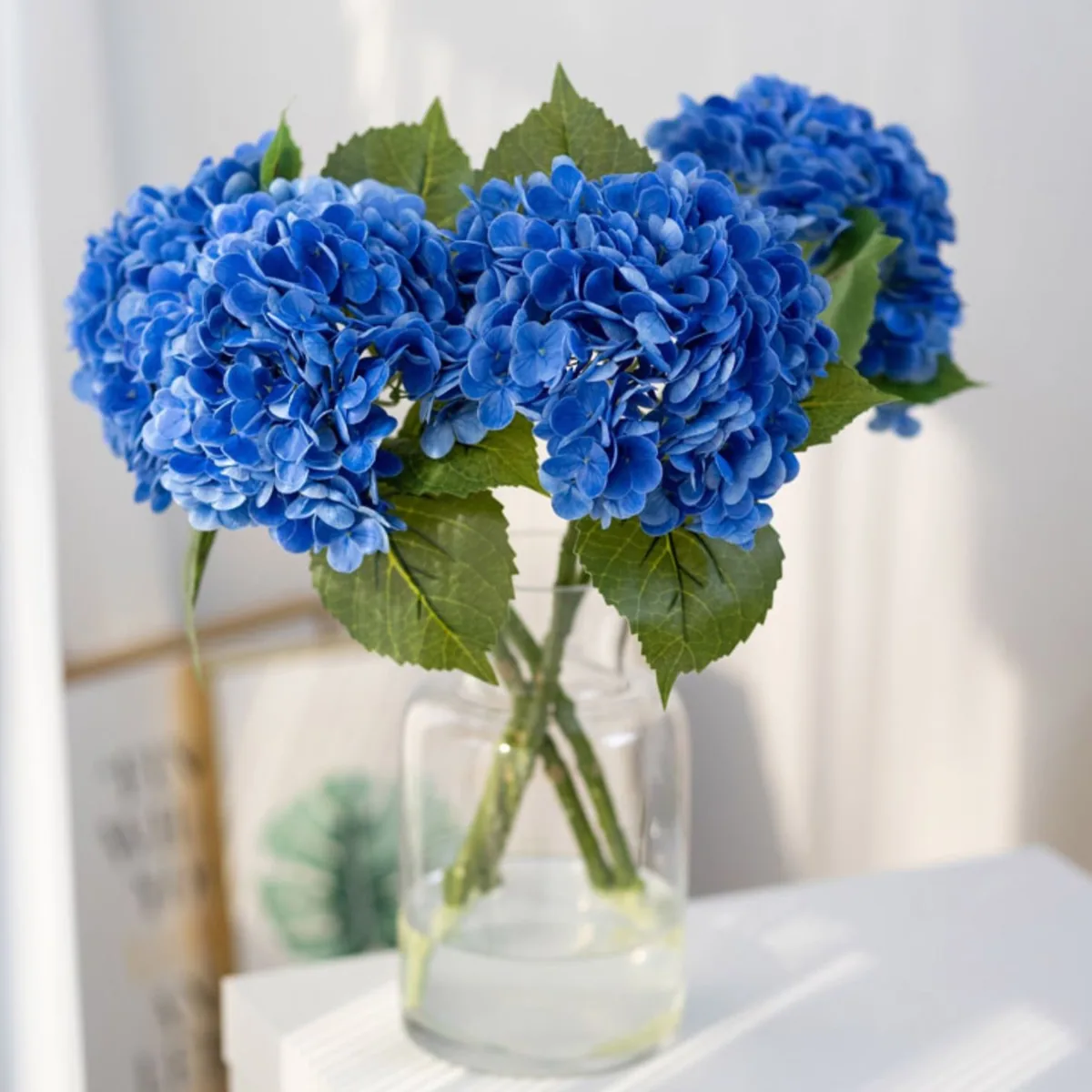 Dark blue Hydrangea