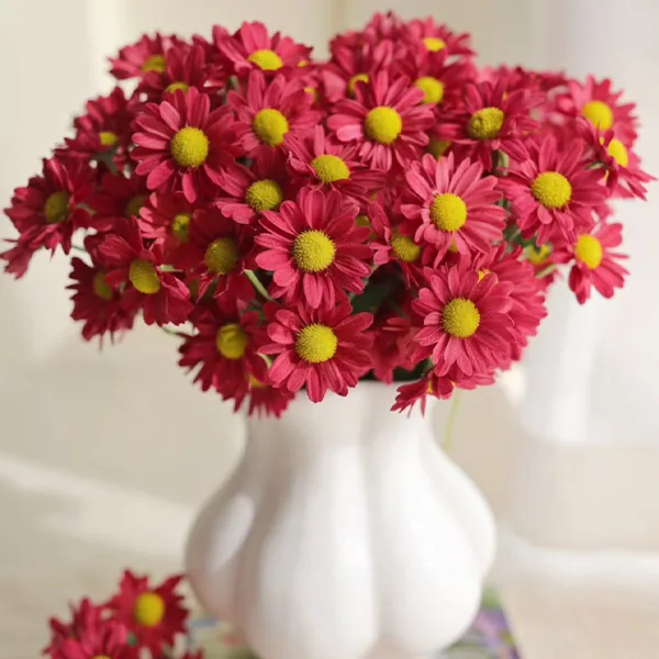 Red daisy