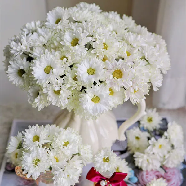 White daisy