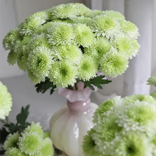 Green daisy