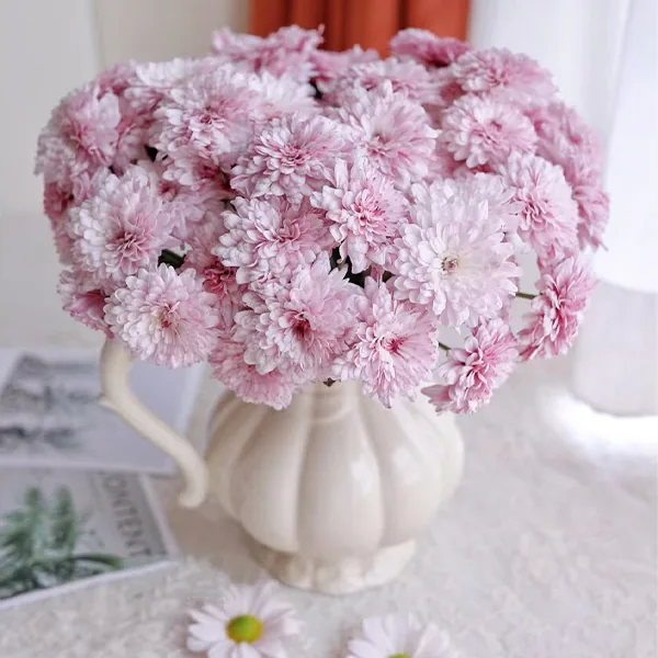 Pink daisy