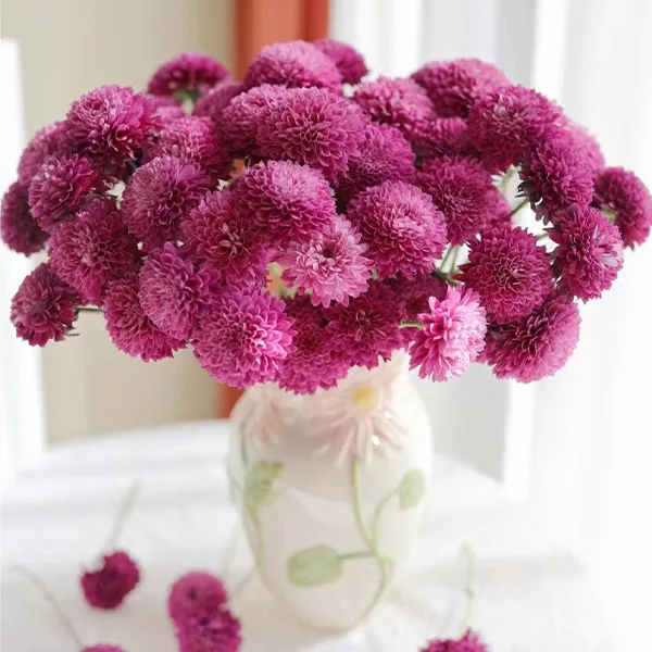 Purple daisy