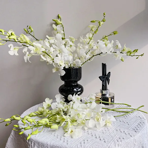 White orchid