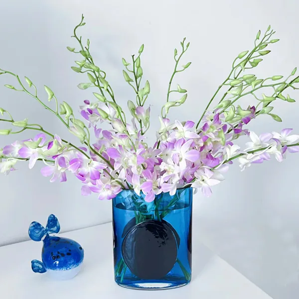 Orchid  Lu Xi Zi