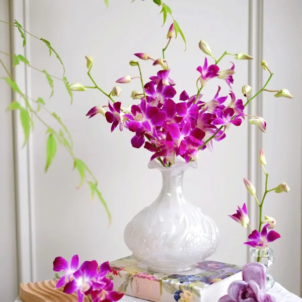 Orchid purple