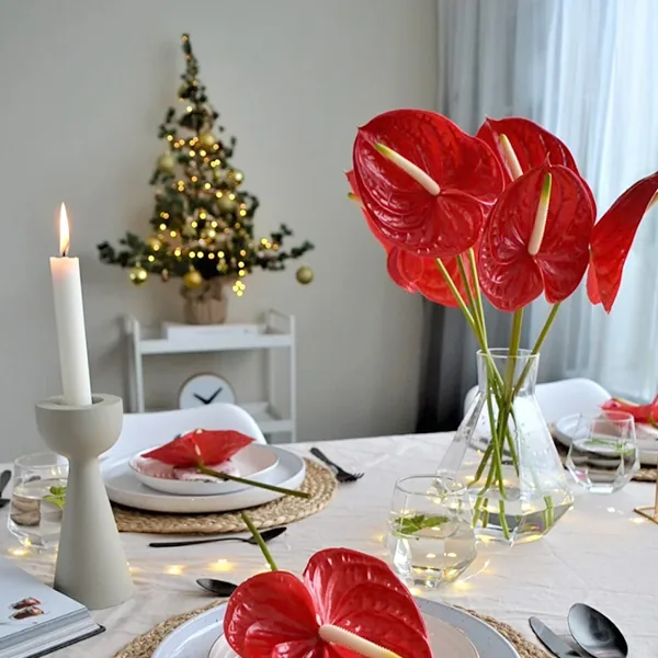 16 Palm leaf red