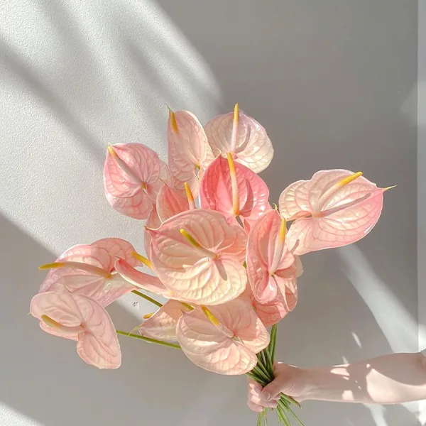 12 Palm leaf pink