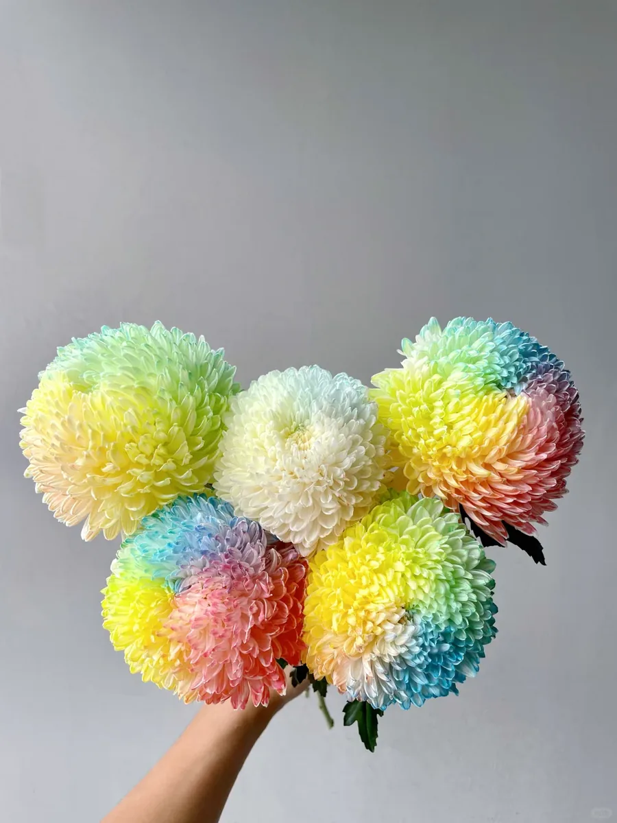 Colorful