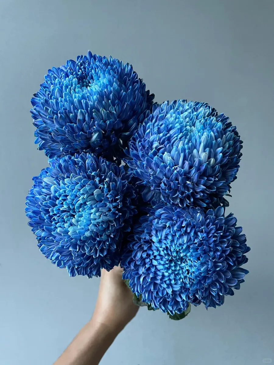 Deep Blue