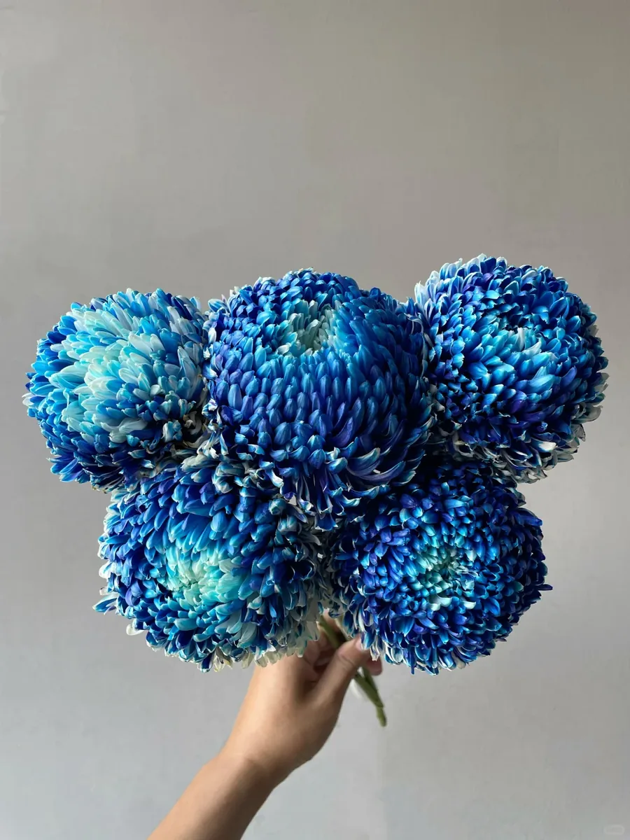 Rain Ink Blue