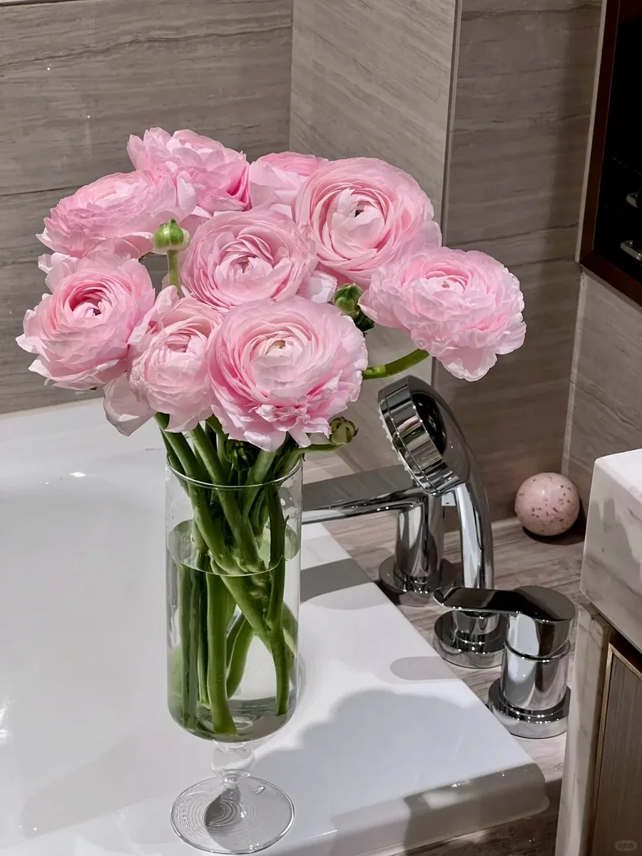Pink Peony