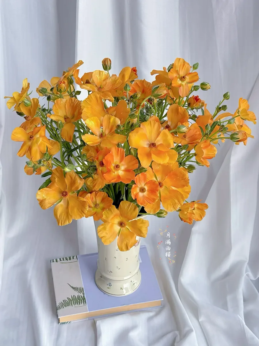 Orange butterfly Peony