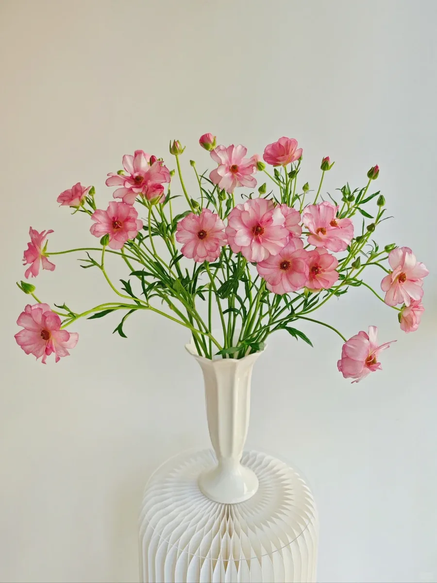Pink butterfly Peony