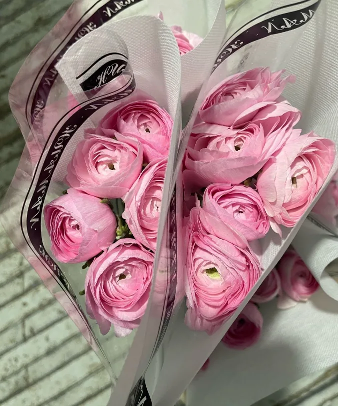 Pink Super Peony