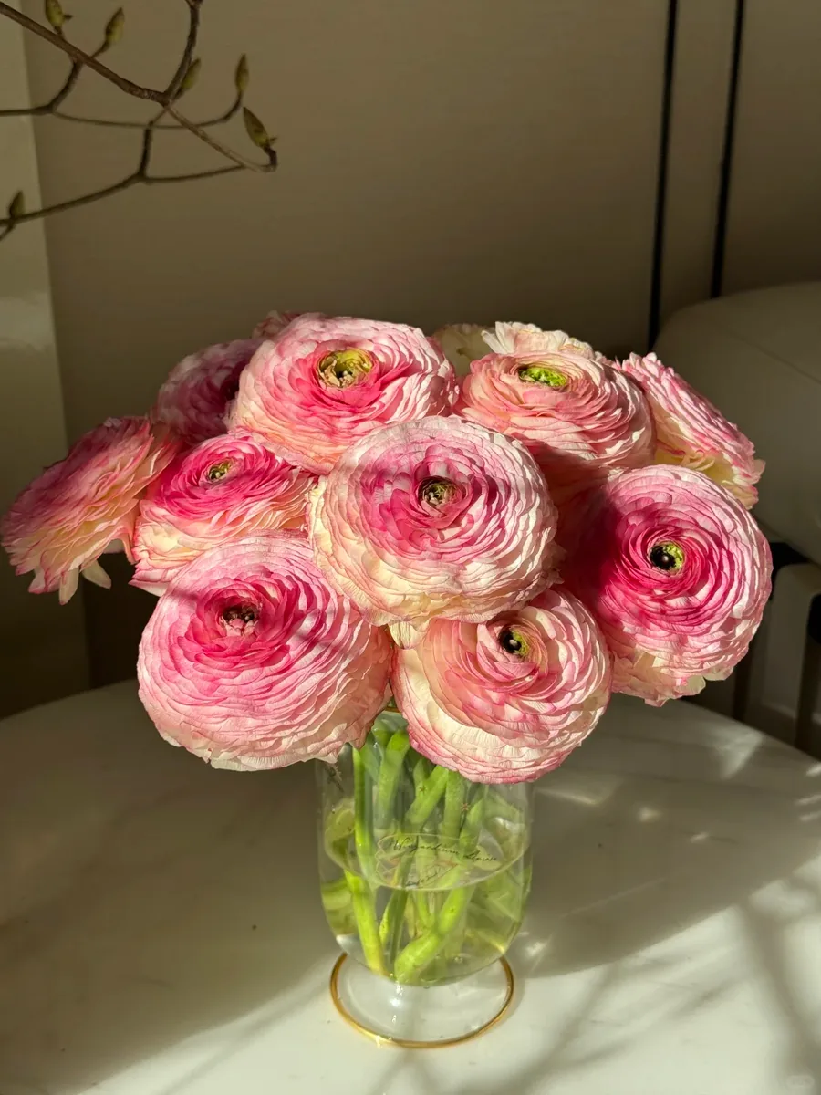 Peach Grapefruit Peony
