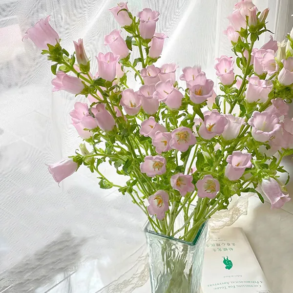 Pink wind chimes