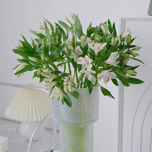 White narcissus lily