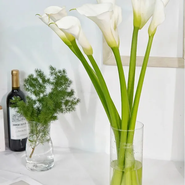 White callalily