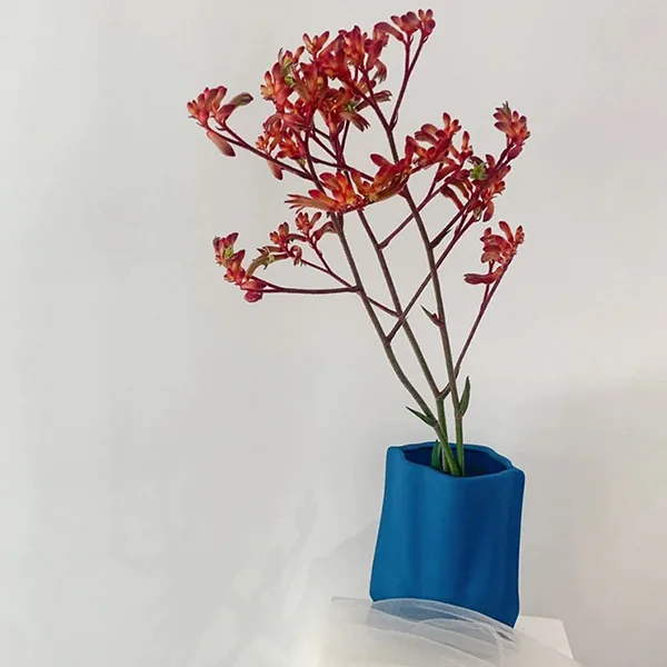Red Kangaroopaw