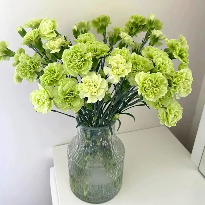 Green carnation