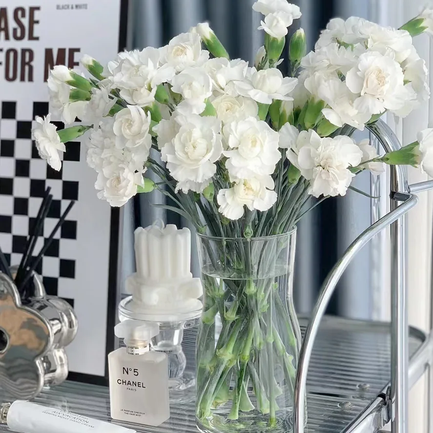 White carnation