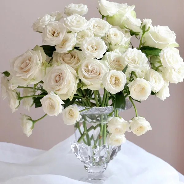 White bubbles