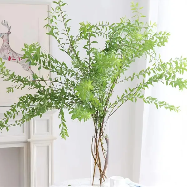 Snow willow leaf