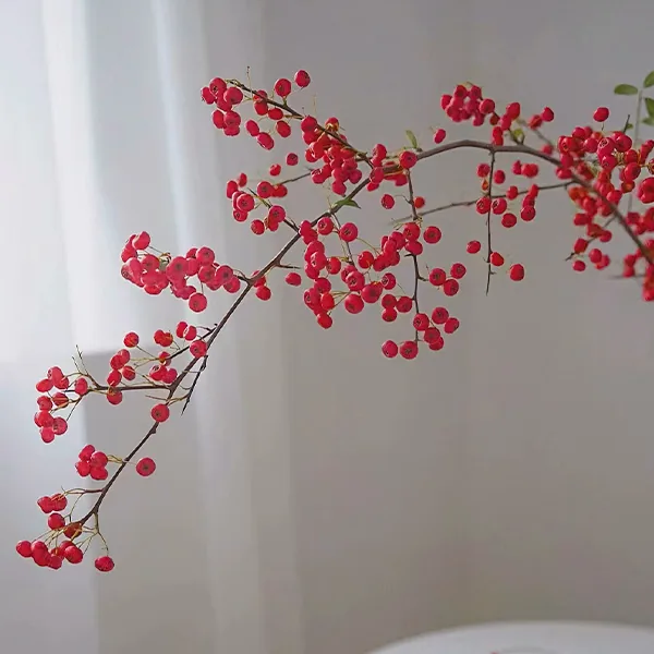 Fire Torch Fruit