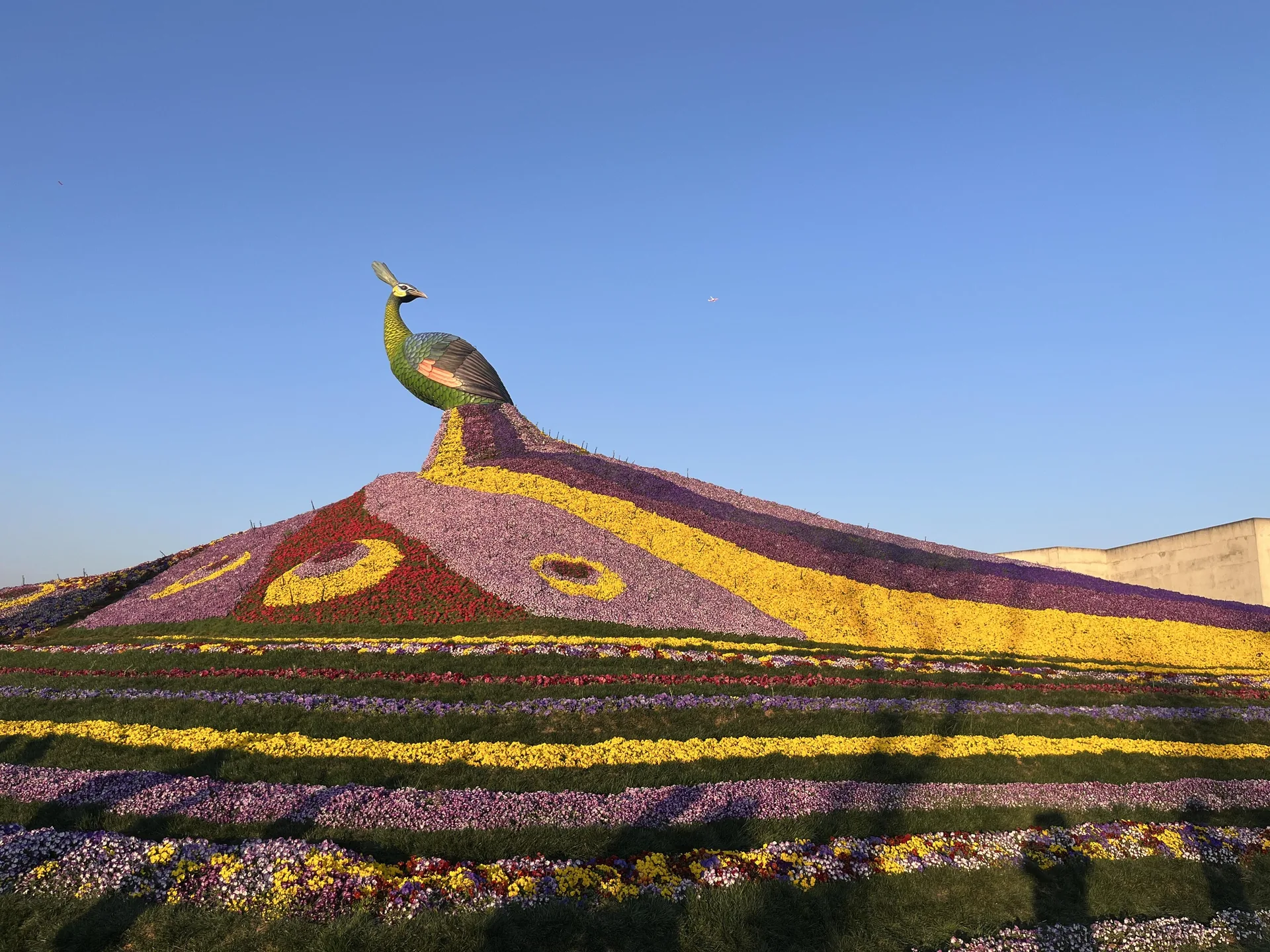 Yunnan flower landscape